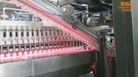 Da cavidade automática da máquina de molde 4 do sopro de SMC fabricação mineral da garrafa de água